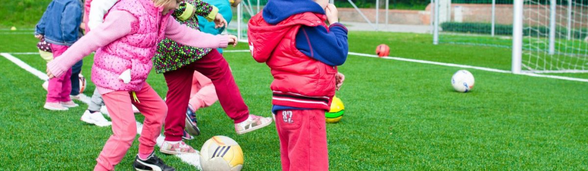 pexels-goumbik-296302