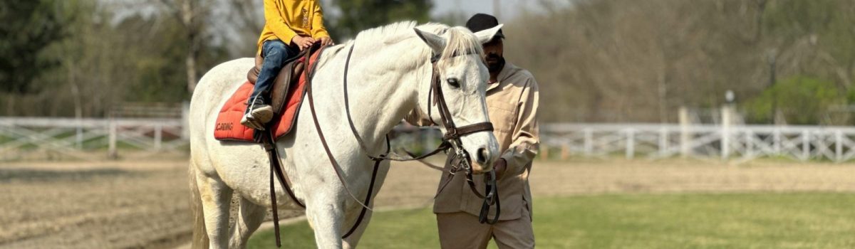 pexels-imrana-kousar-342799704-15868885