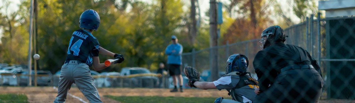 pexels-masonamccall-11950070